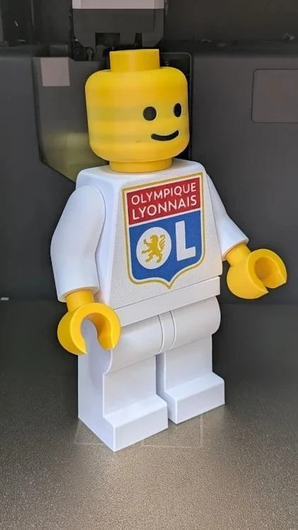 Olympique Lyonnais baksteenfiguur – Fan OL (20cm) – photo 7